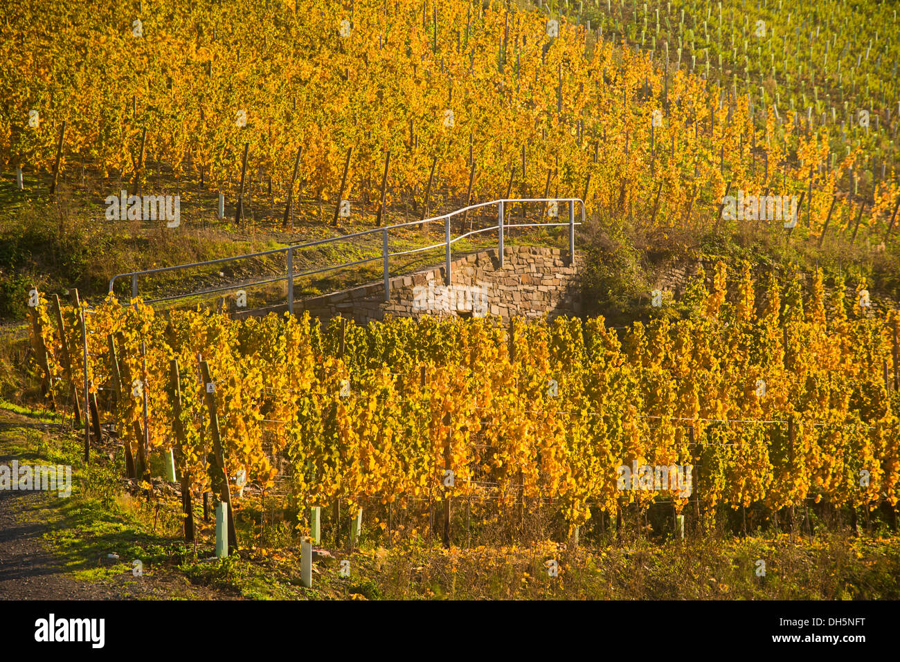 Mayschoss in the ahr valley hi-res stock photography and images - Alamy