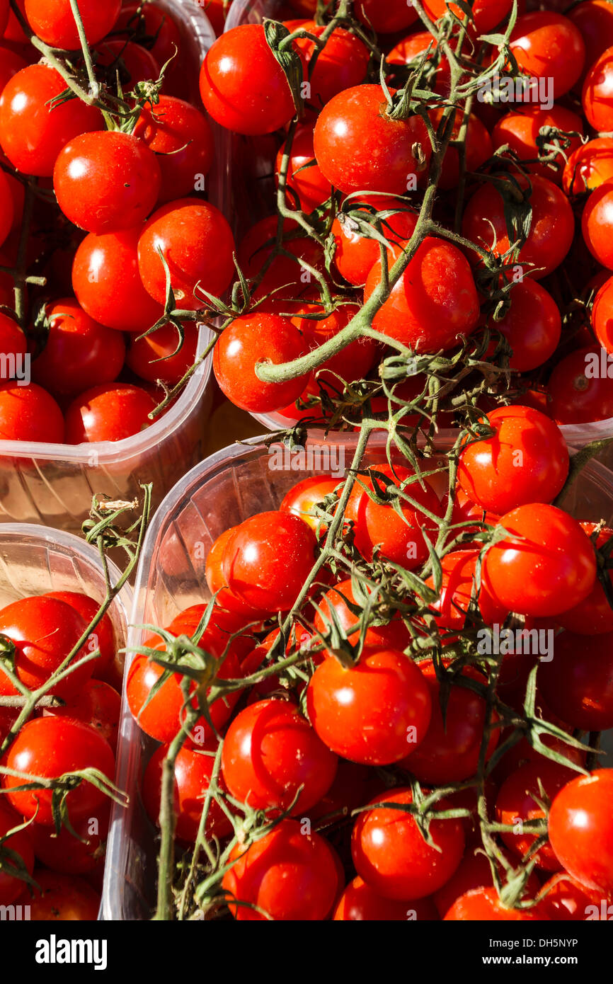 Boxes of bunch of tomatoes on a market Stock Photo - Alamy