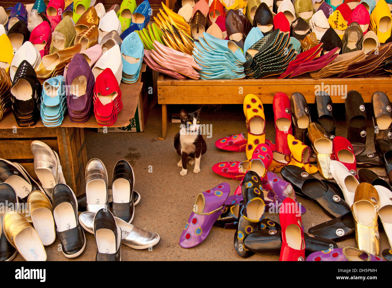 Babouches, cat sitting amidst typical Moroccan slippers, souks, Medina, Altstadt, Fes, Morocco Stock Photo