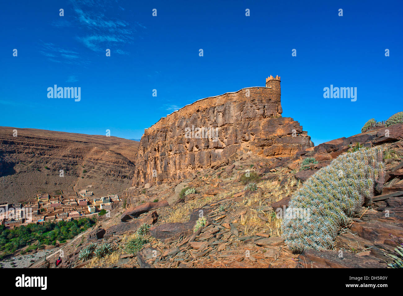 Fortified granary, Agadir Id Aissa, on a cliff top, right, Resin Spurge (Euphorbia resinifera), town of Amtoudi in the valley Stock Photo
