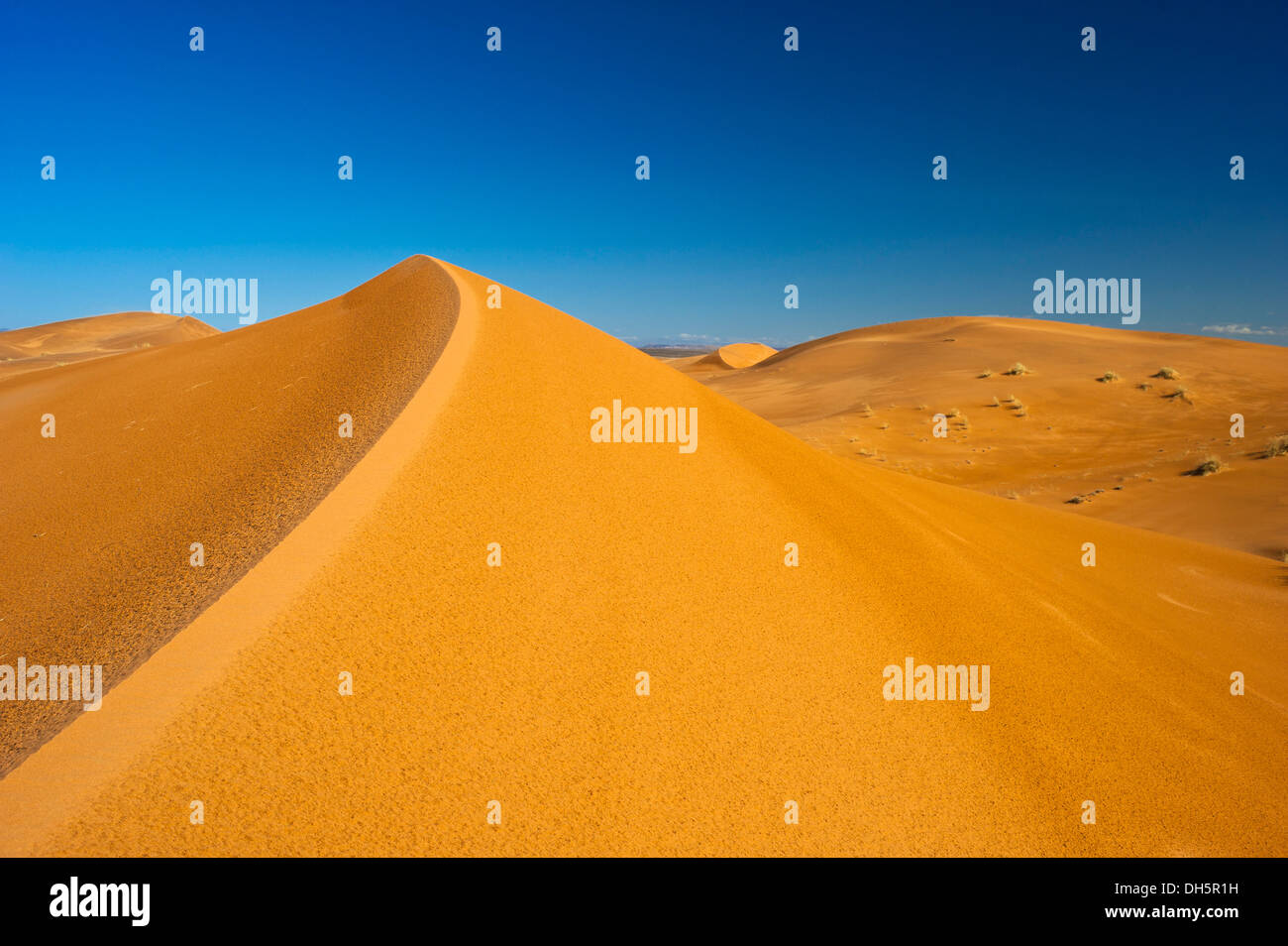 Sand dunes of Erg Chebbi, Sahara, Southern Morocco, Morocco, Africa Stock Photo