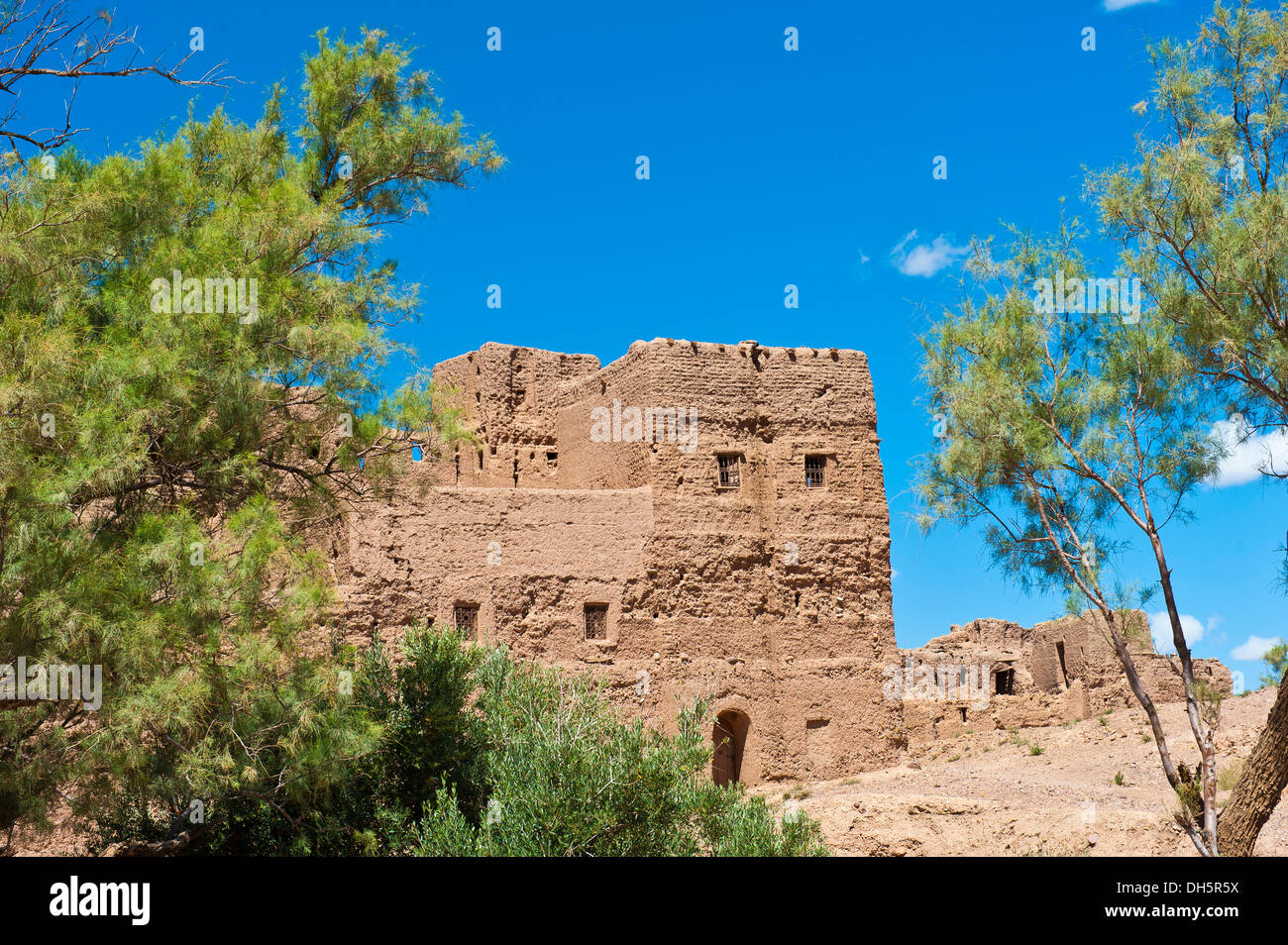 Decaying kasbah surrounded by trees and shrubs, mud fortress of the Berber people, Tighremt, lower Dades Valley Stock Photo