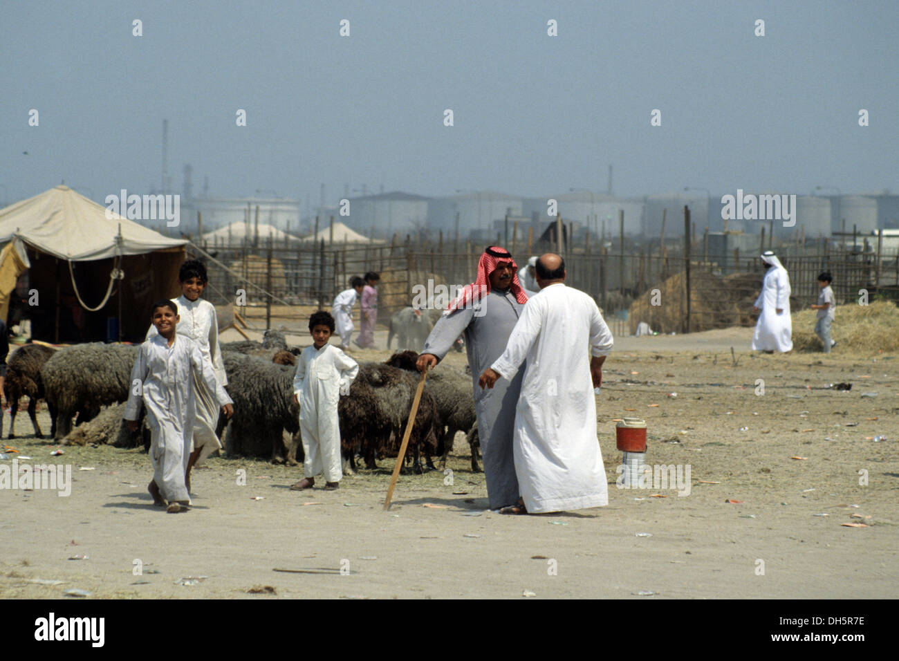 The aftermath of the 1991 Gulf War in Kuwait : oil reservoirs and sheep ...