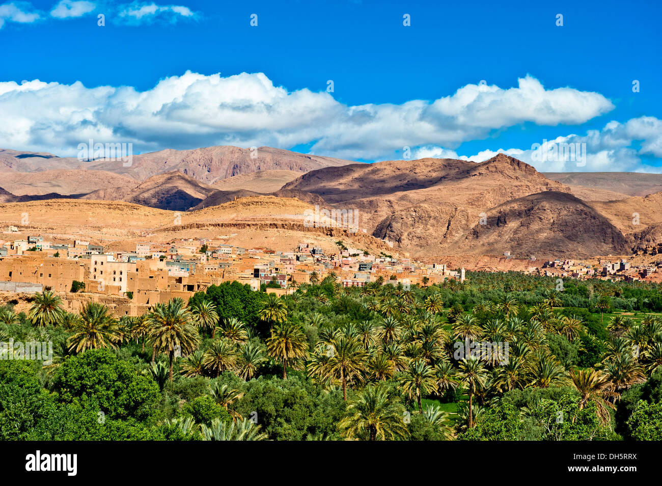 Landscape with an oasis, date palms and fruit trees, a village of mud-walled houses at the back, Ksar or Ksour Stock Photo