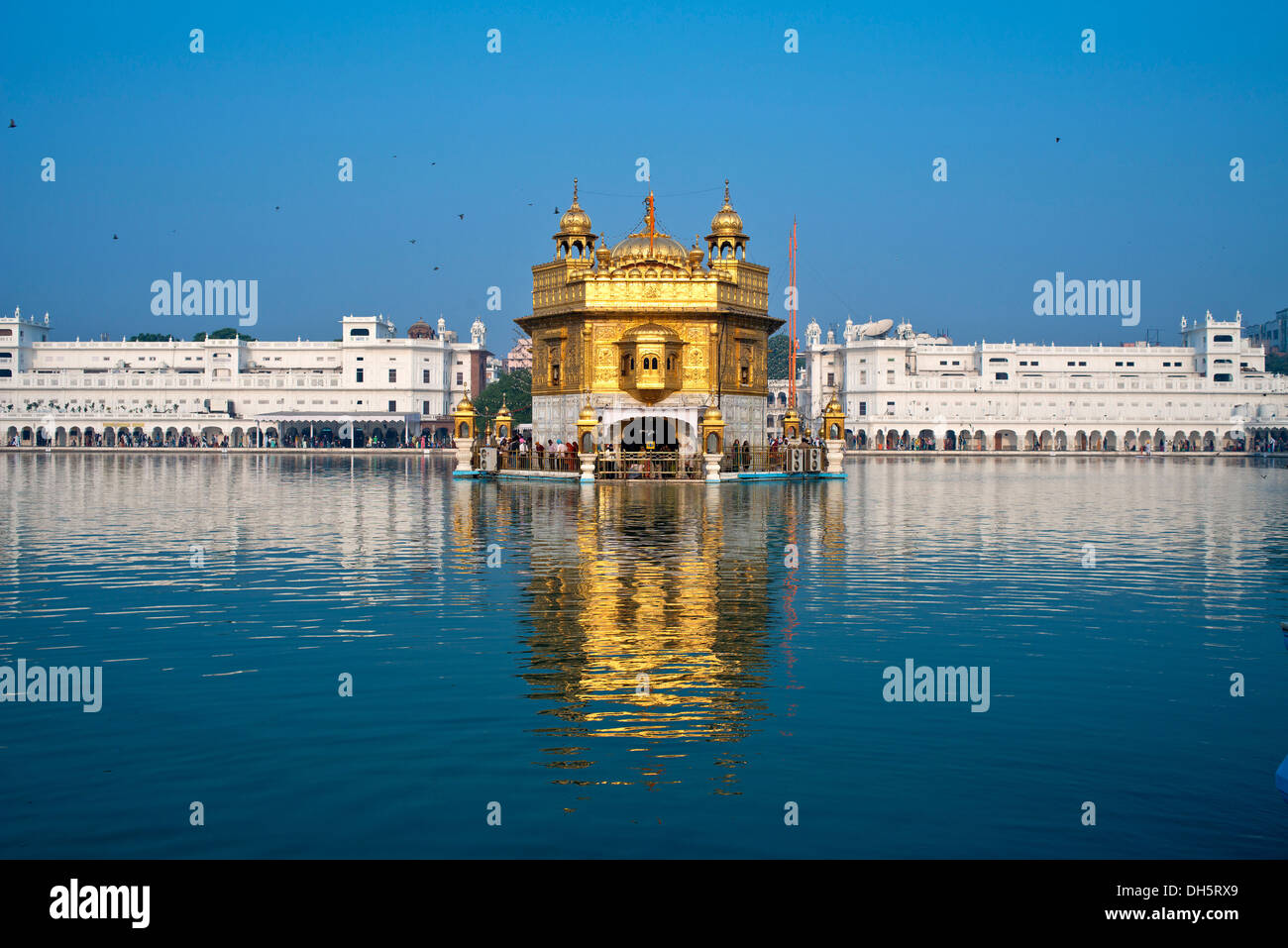 The Harmandir Sahib or Darbar Sahib, Golden Temple, the main shrine of the Sikhs, with the holy Amrit Sagar lake, Amritsar Stock Photo