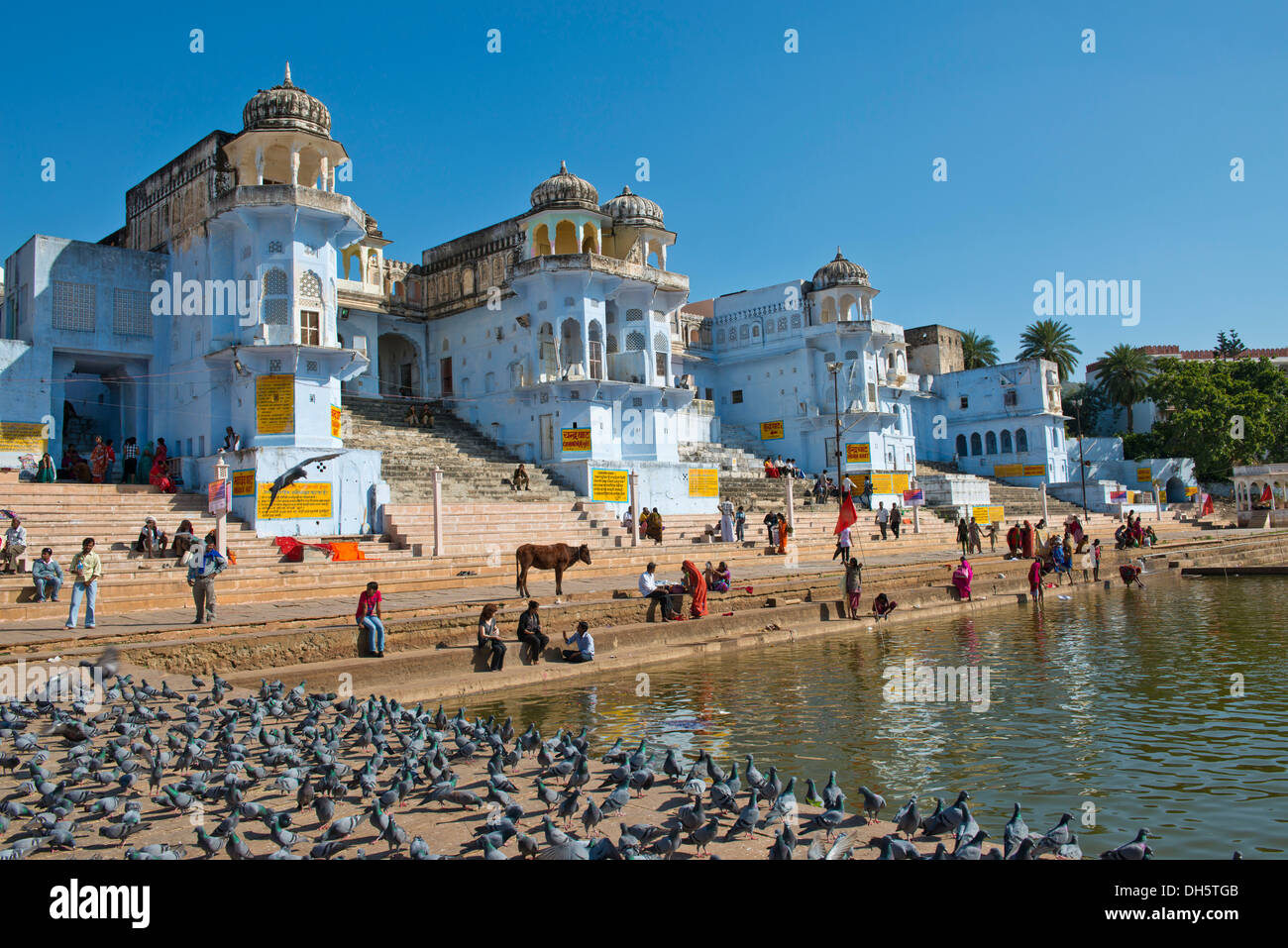 Temples Buildings And Ghats At The Holy Pushkar Lake Pushkar Sarovara 