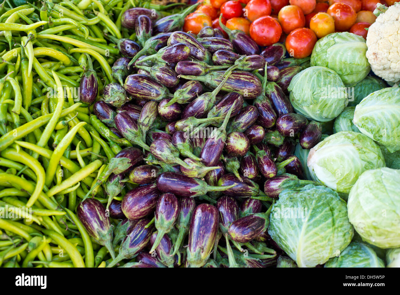 Eggplant, peppers, tomatoes and cabbage, mixed vegetables displayed for sale, Jaisalmer, Rajasthan, India Stock Photo
