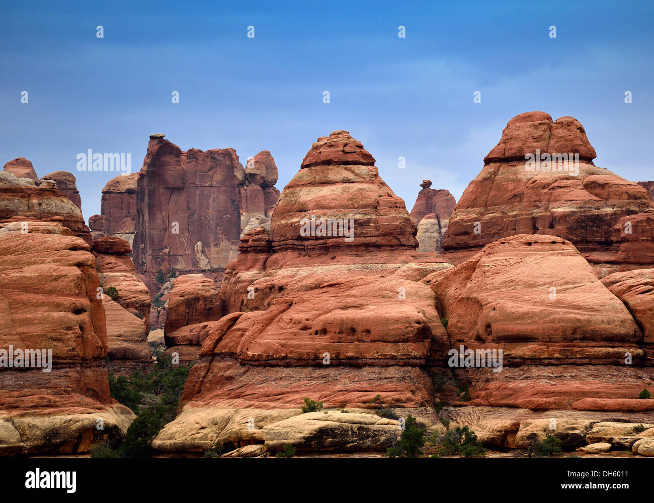 Pinnacles at Elephant Hill District, The Needles District, Canyonlands National Park, Utah, United States of America, USA Stock Photo