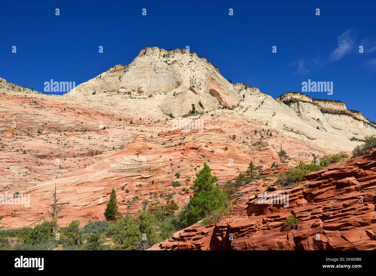 East Temple, Zion National Park, Utah, United States of America, USA Stock Photo