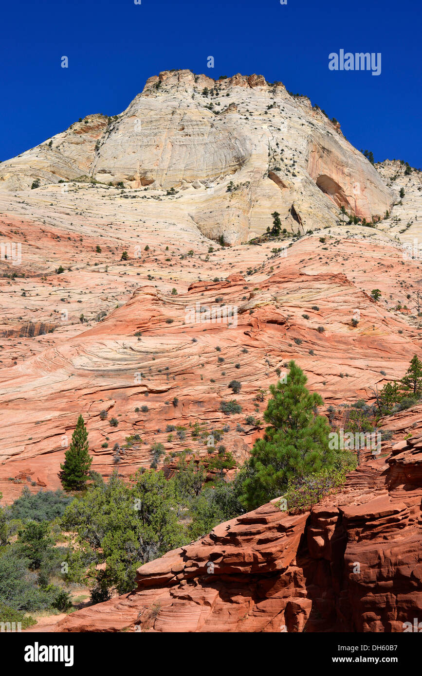 East Temple, Zion National Park, Utah, United States of America, USA Stock Photo