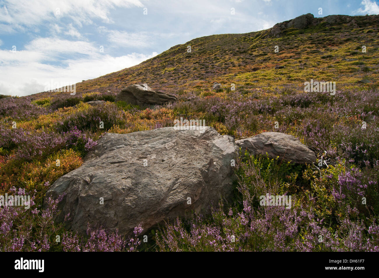Middle eildon hi-res stock photography and images - Alamy