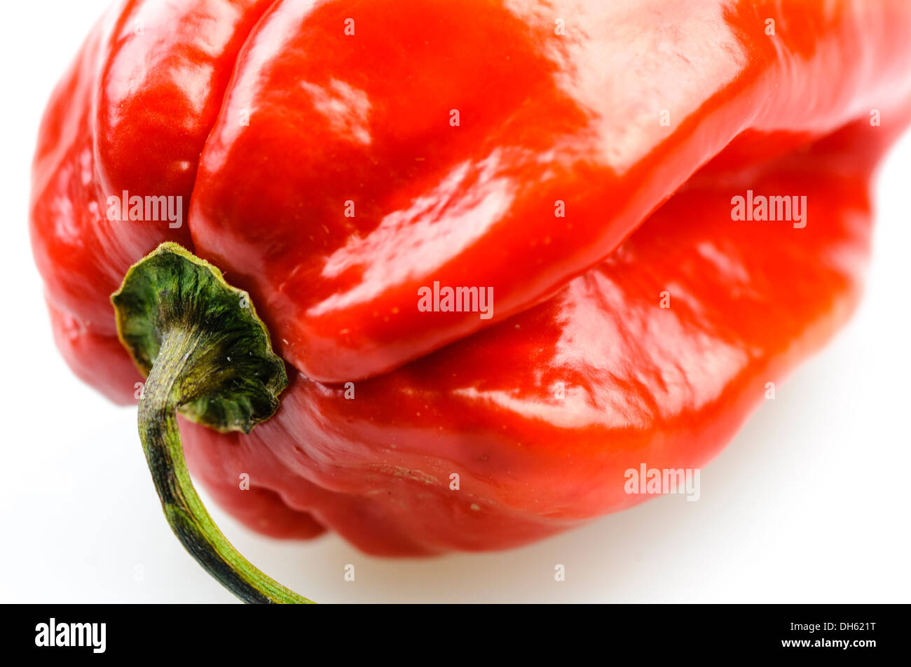 A scotch bonnet chili pepper Stock Photo