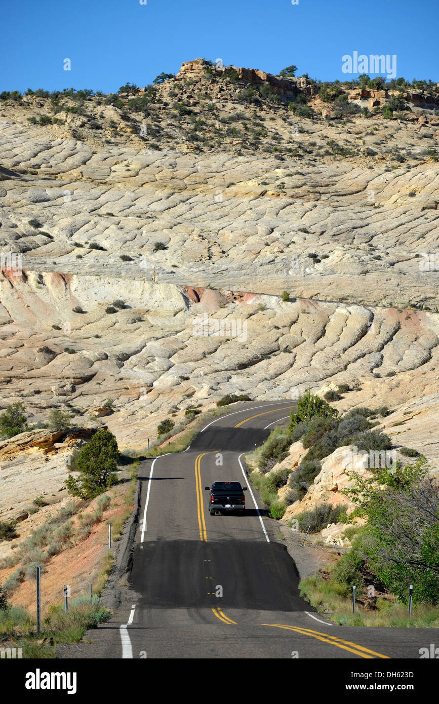 devil backbone devil backbone