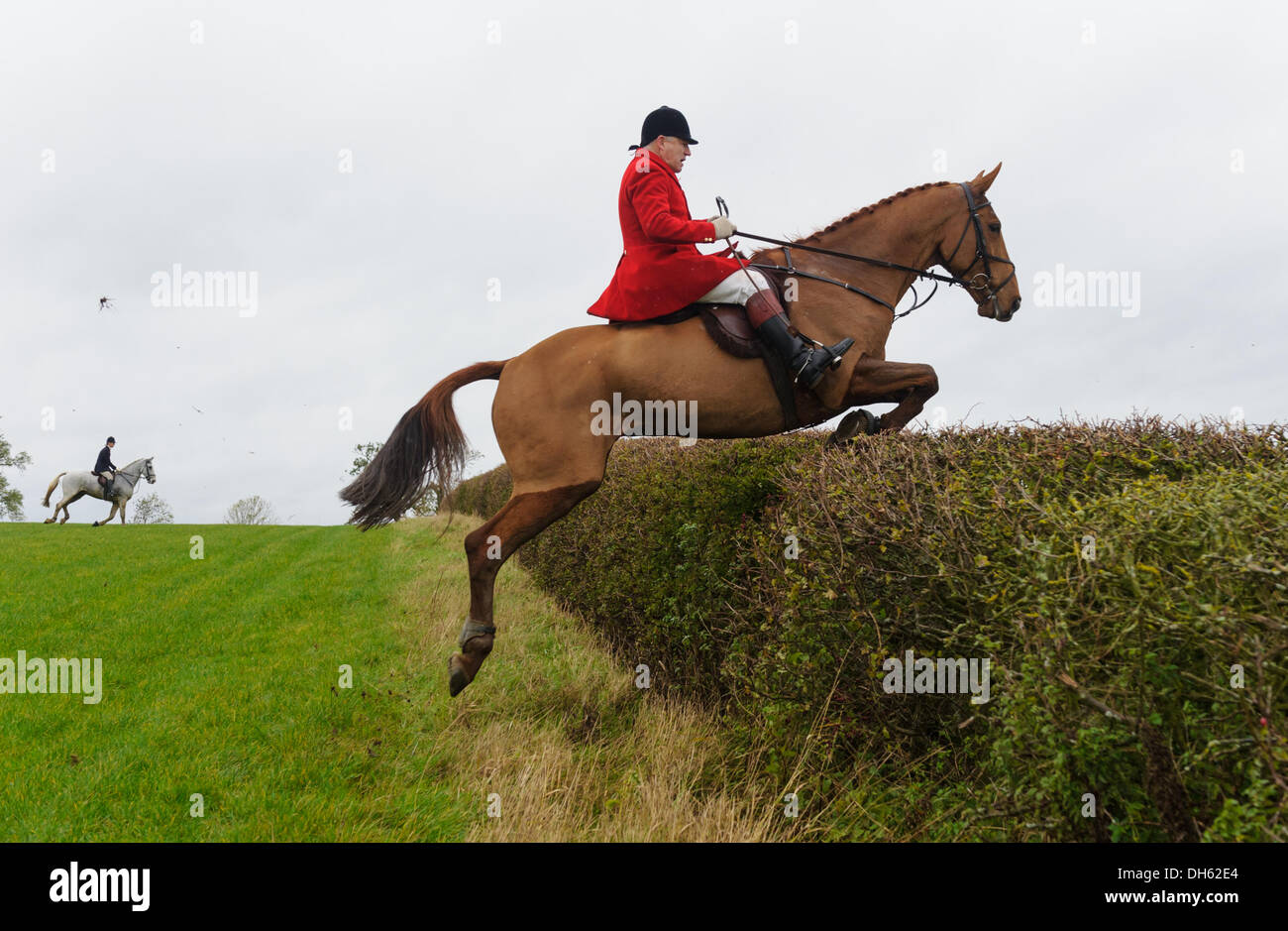Queniborough, Leicestershire, UK. 1st November 2103. Quorn Huntsman