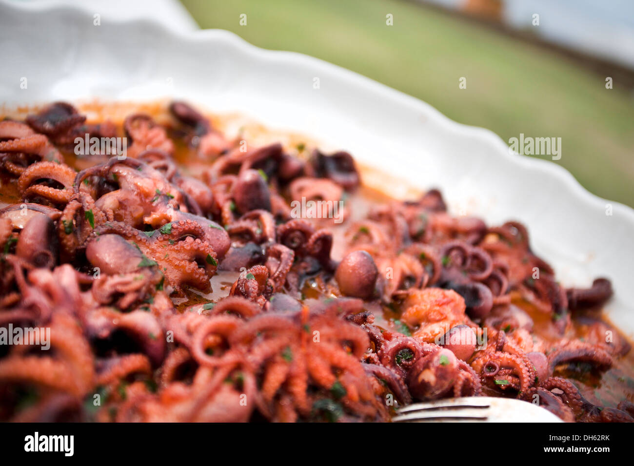 typical italian seafood salad (antipasti di mare), mini octopus Stock Photo
