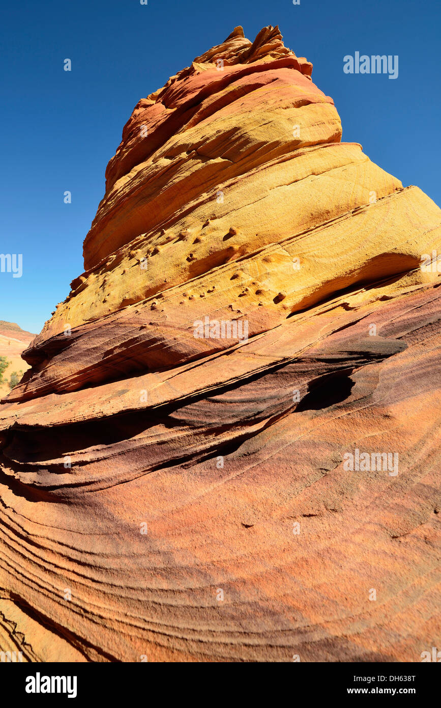 'The Swirl', Brain Rocks of the Coyote Buttes South CBS, Cottonwood Teepees, eroded Navajo sandstone rock formations with Stock Photo