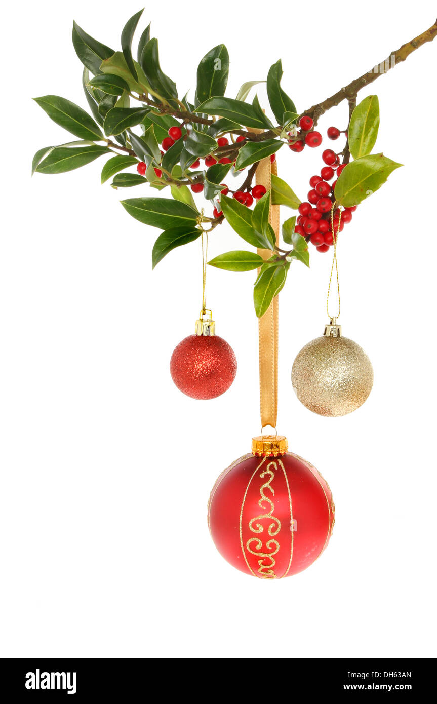 Red and gold Christmas baubles hanging from a holly branch with ripe ...