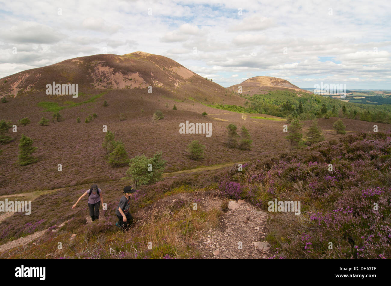 The Eildon Hills Walkers High Resolution Stock Photography and Images ...
