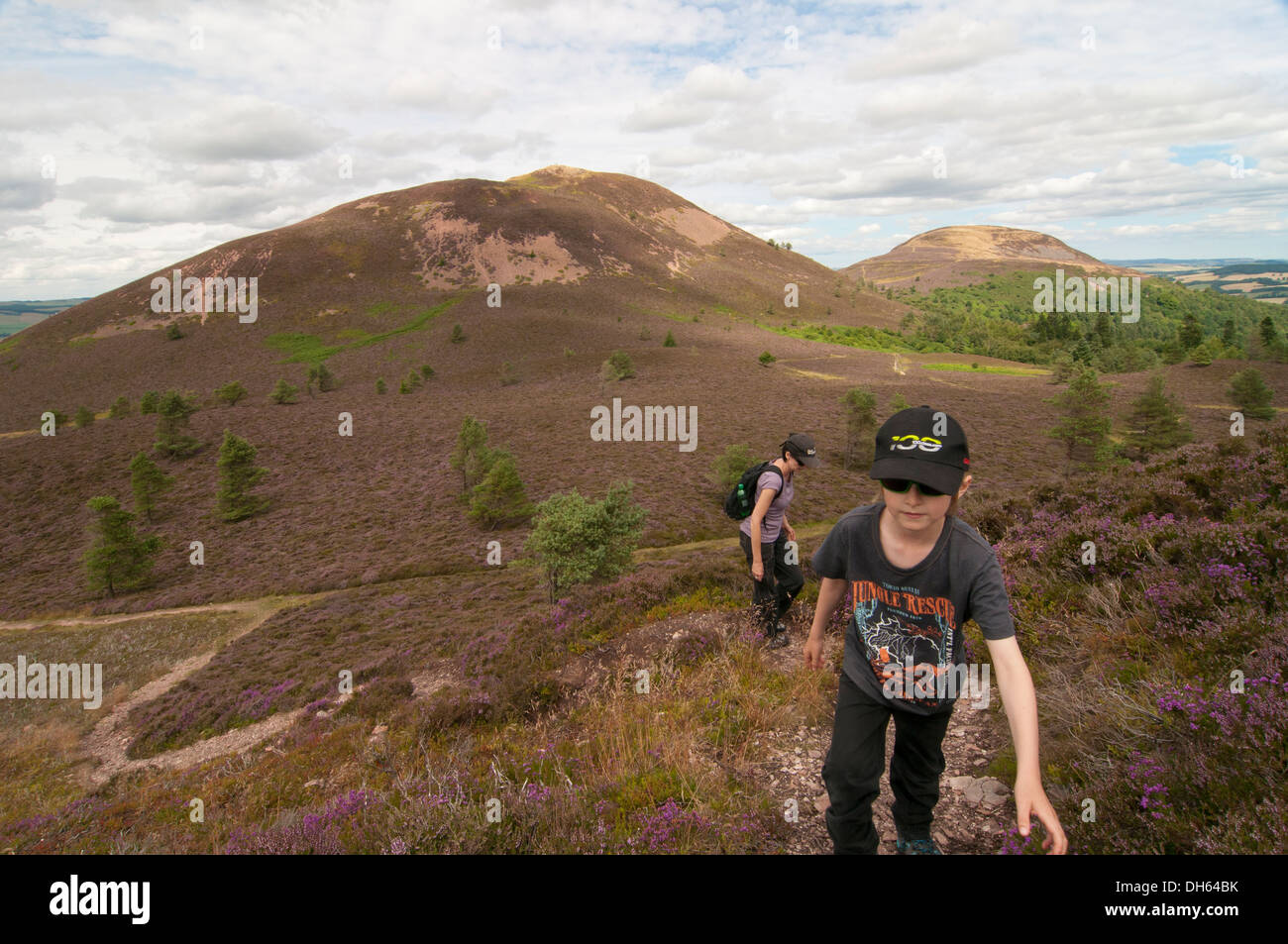 The eildon hills walkers hi-res stock photography and images - Alamy