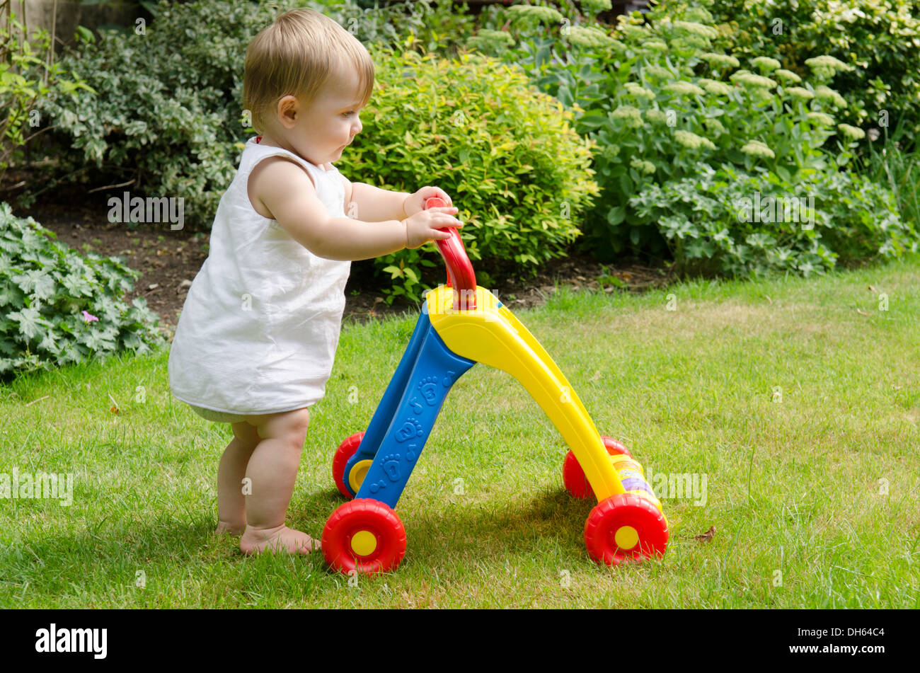 nine month old girl learning to walk with baby walker toy in garden. England, UK. Stock Photo