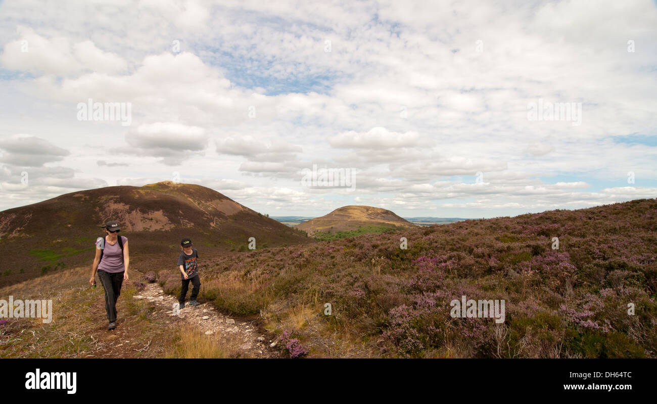 The Eildon Hills Walkers High Resolution Stock Photography and Images ...