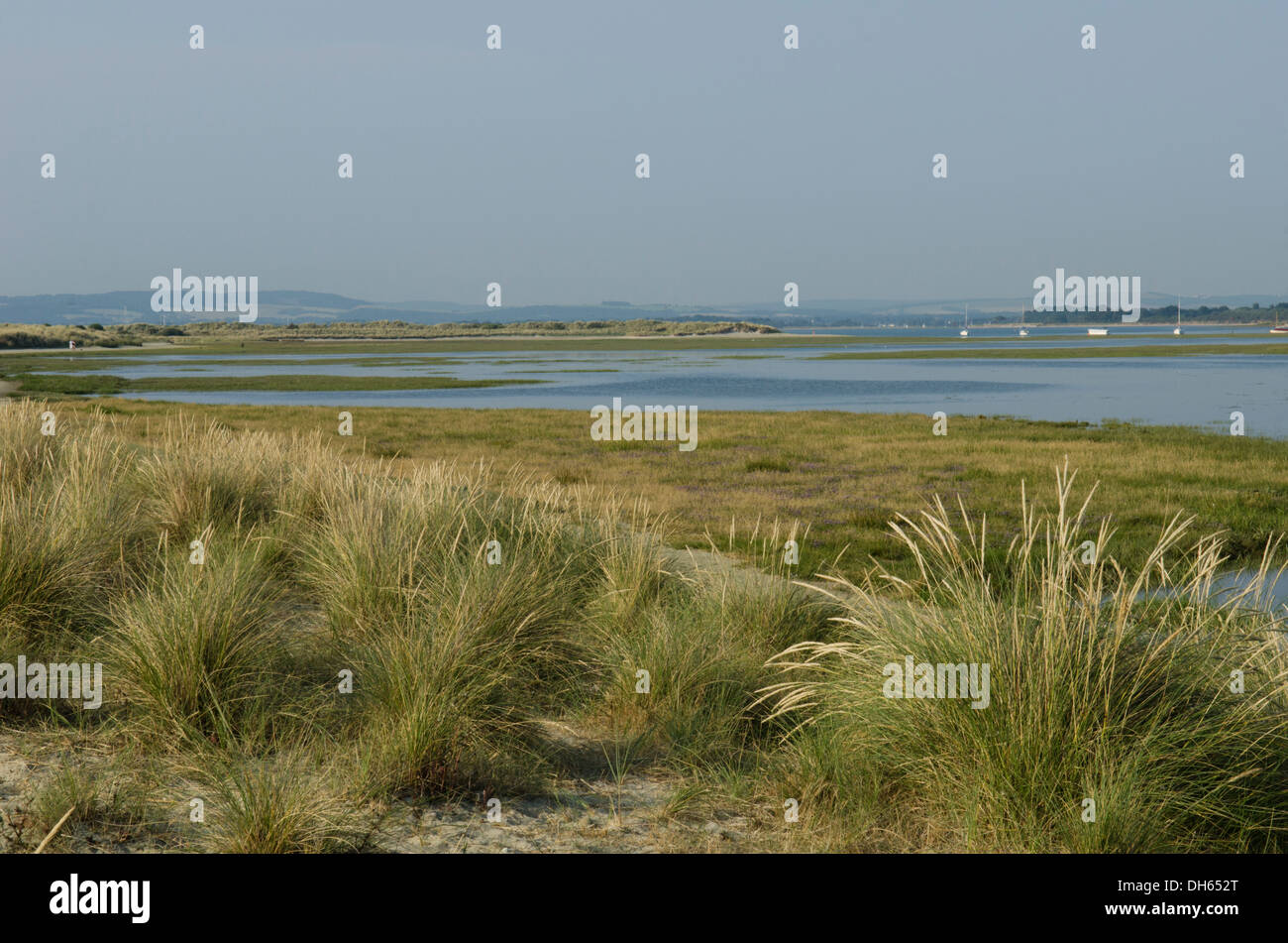 East side of East Head. Wittering, Sussex, UK. July. Chichester Harbour