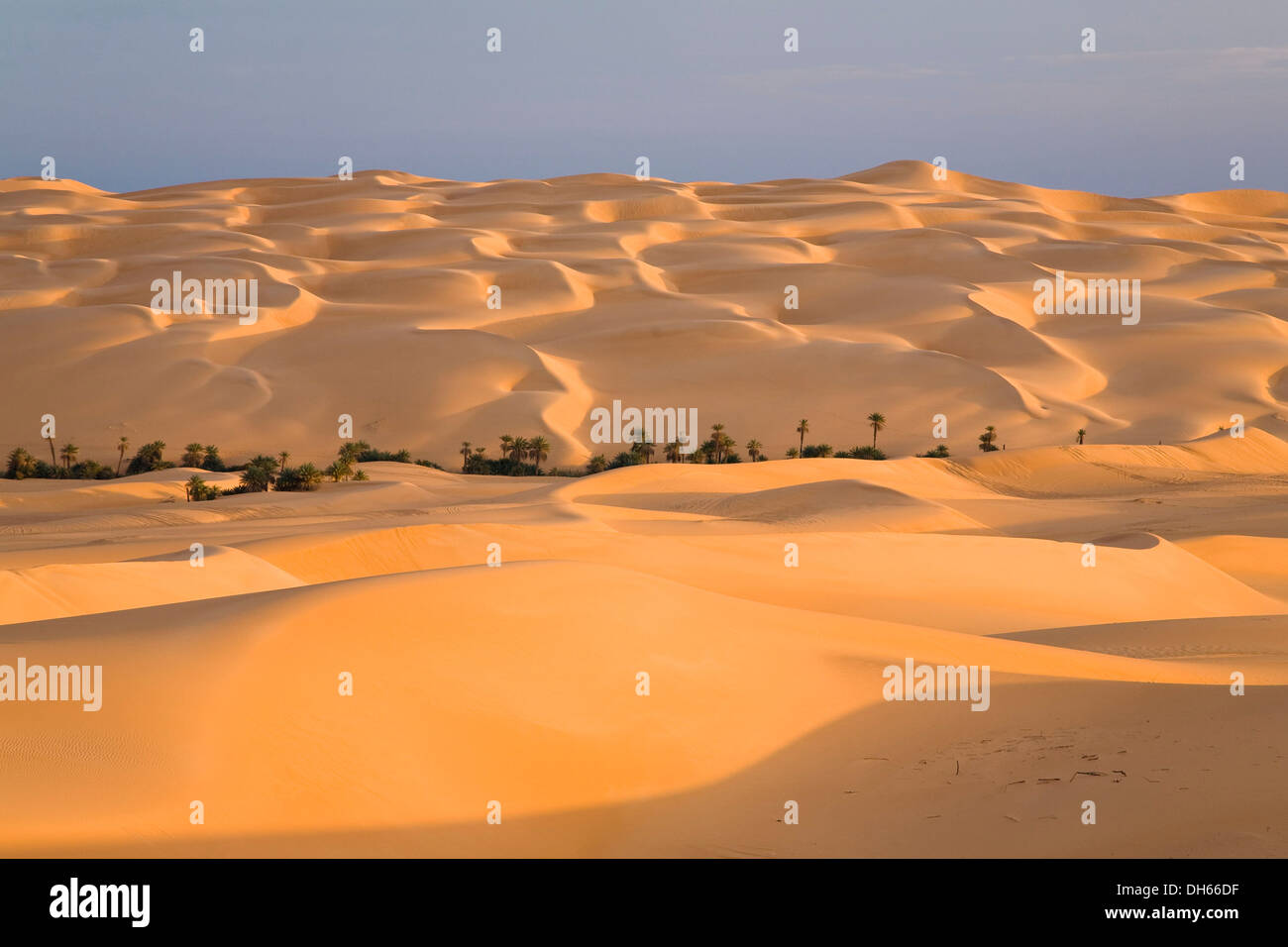 Um el Ma Oasis and sand dunes, Libyan Desert, Libya, Sahara, North Africa, Africa Stock Photo