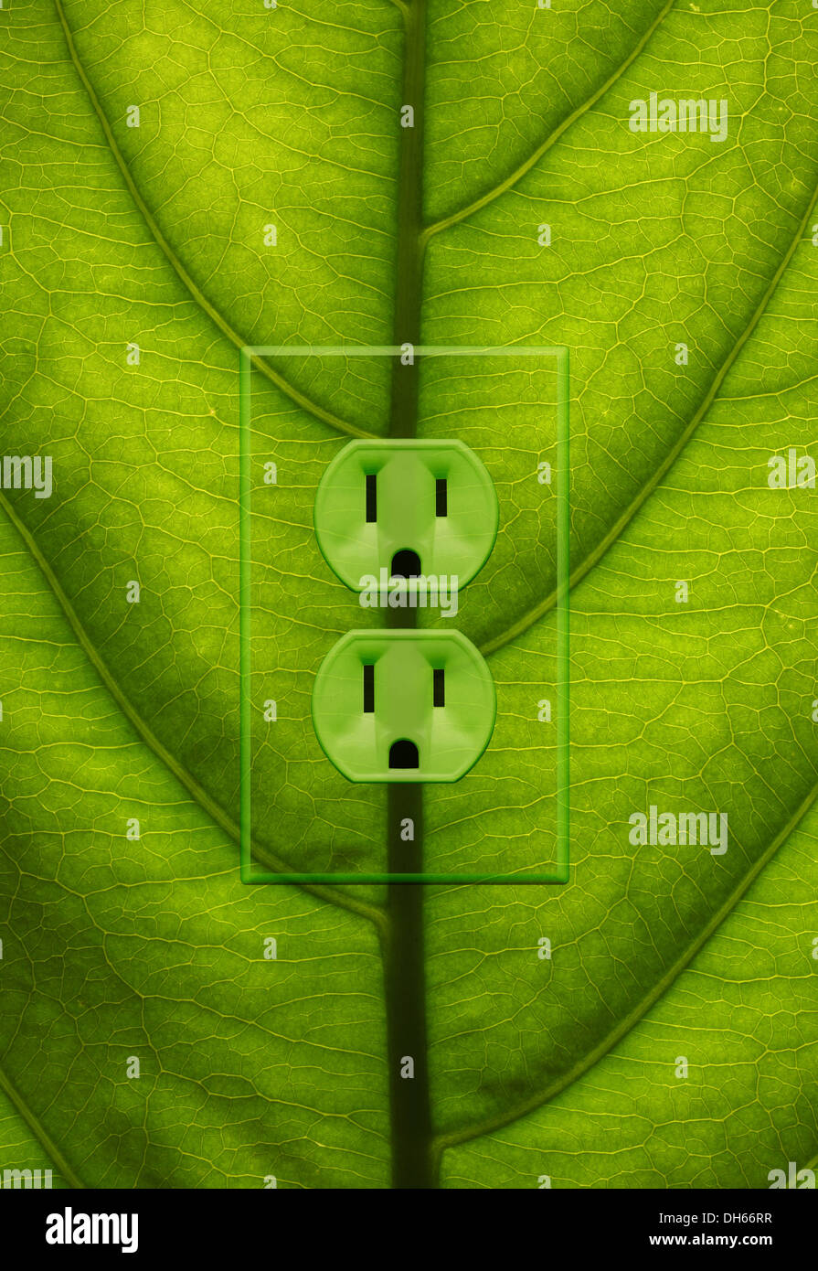 Closeup of a green plant leaf with green colored electrical outlets