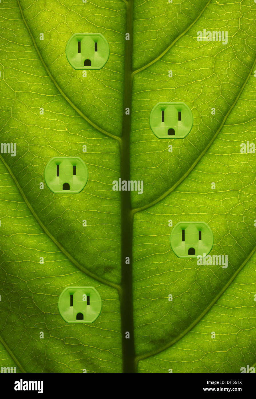 Close-up of a green plant leaf with five green colored electrical outlets added. Stock Photo