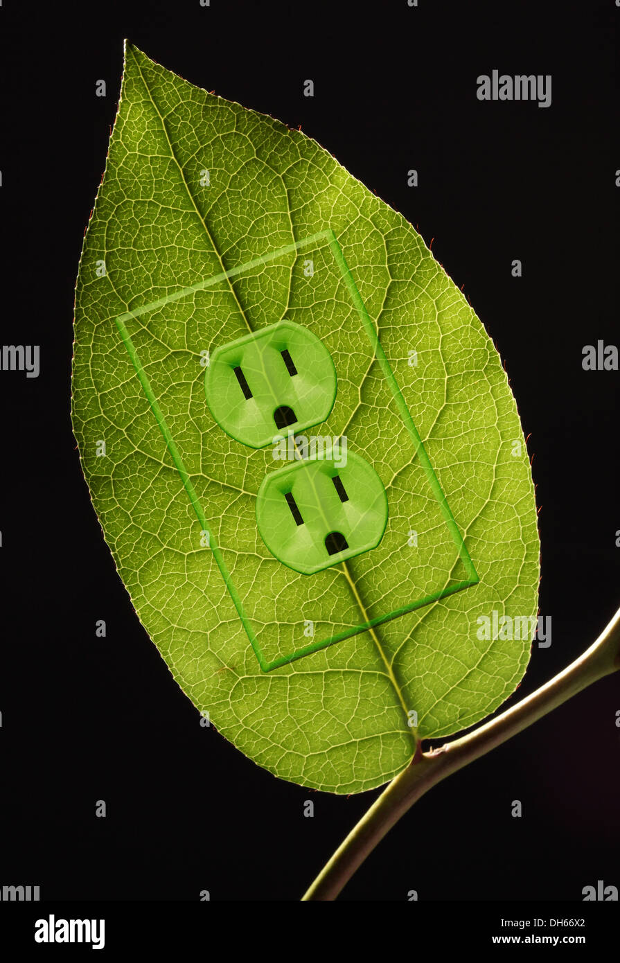 A green plant leaf on a branch with green colored electrical outlets added. Black background Stock Photo