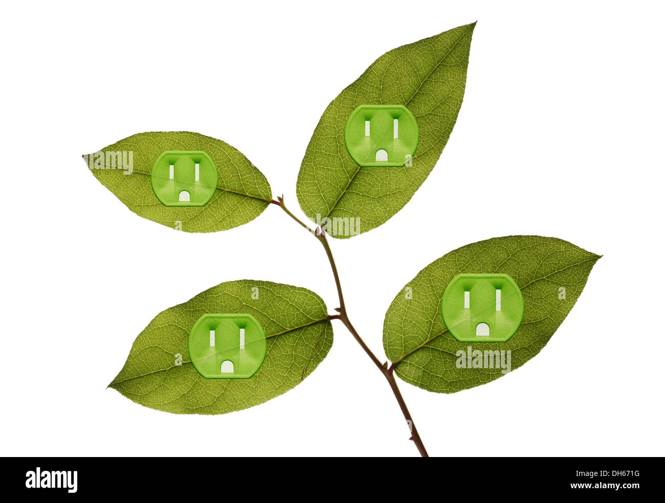 Four green plant leaves with green colored electrical outlets added. Stock Photo