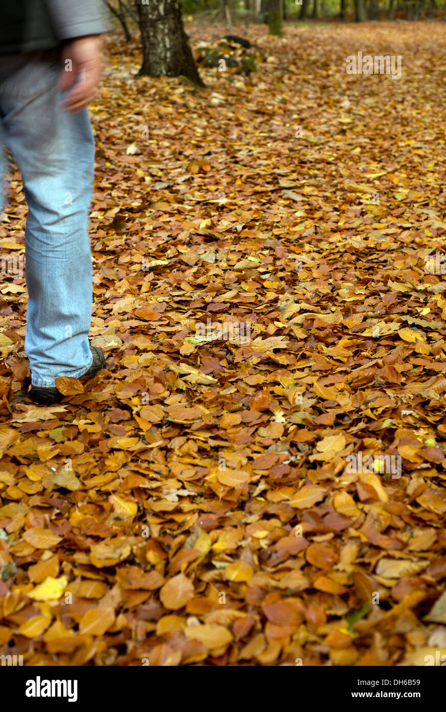 Person in the forest hi-res stock photography and images - Alamy