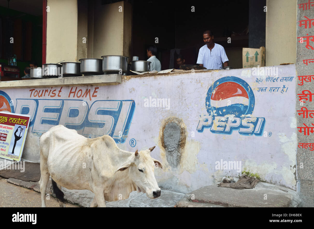 Street canteen, Rishikesh, India Stock Photo