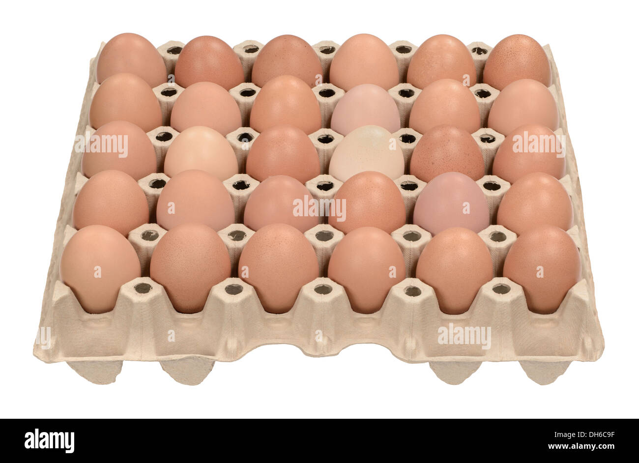 30 fresh brown eggs in pallet carton Stock Photo