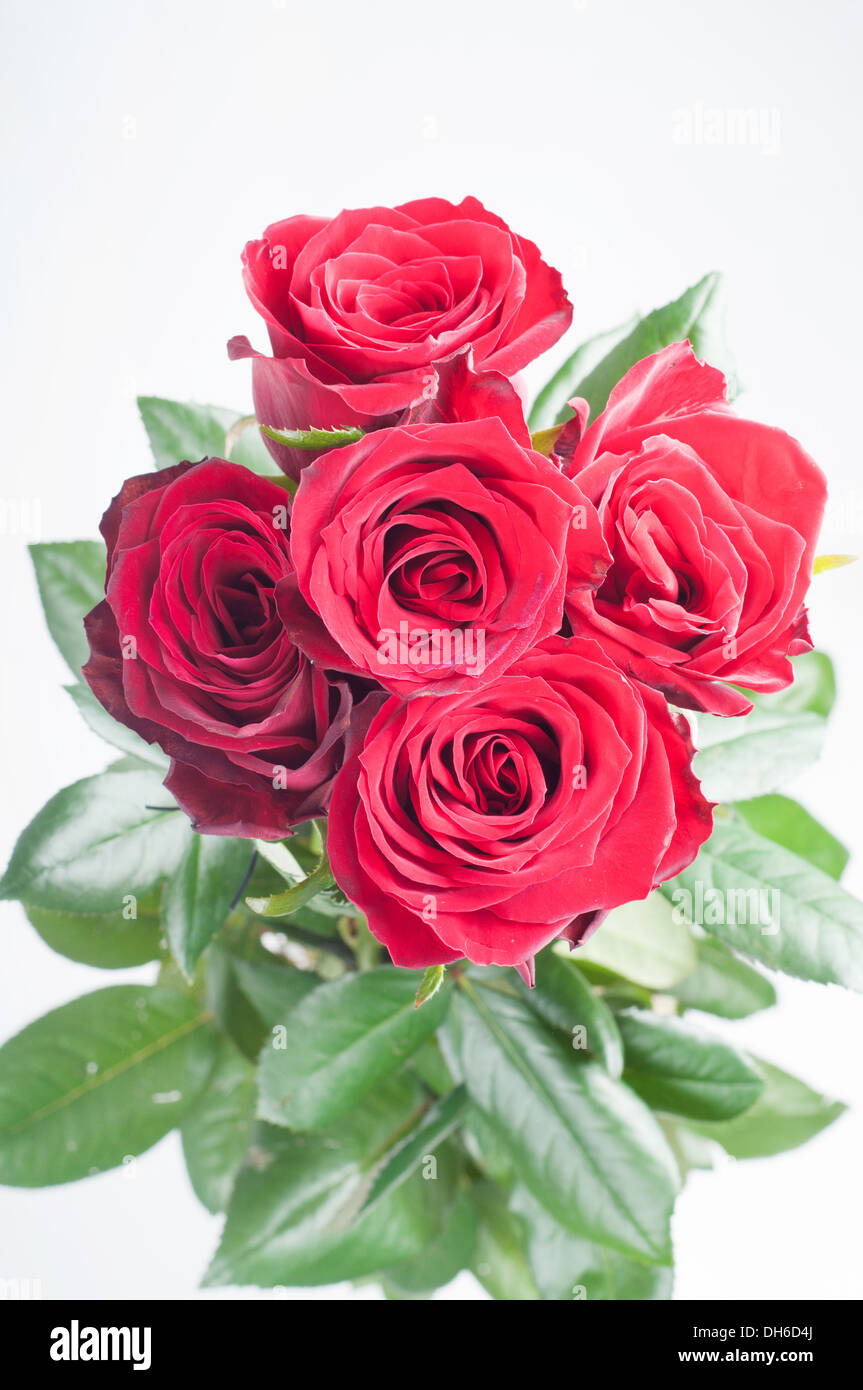 Bouquet from red roses Stock Photo - Alamy