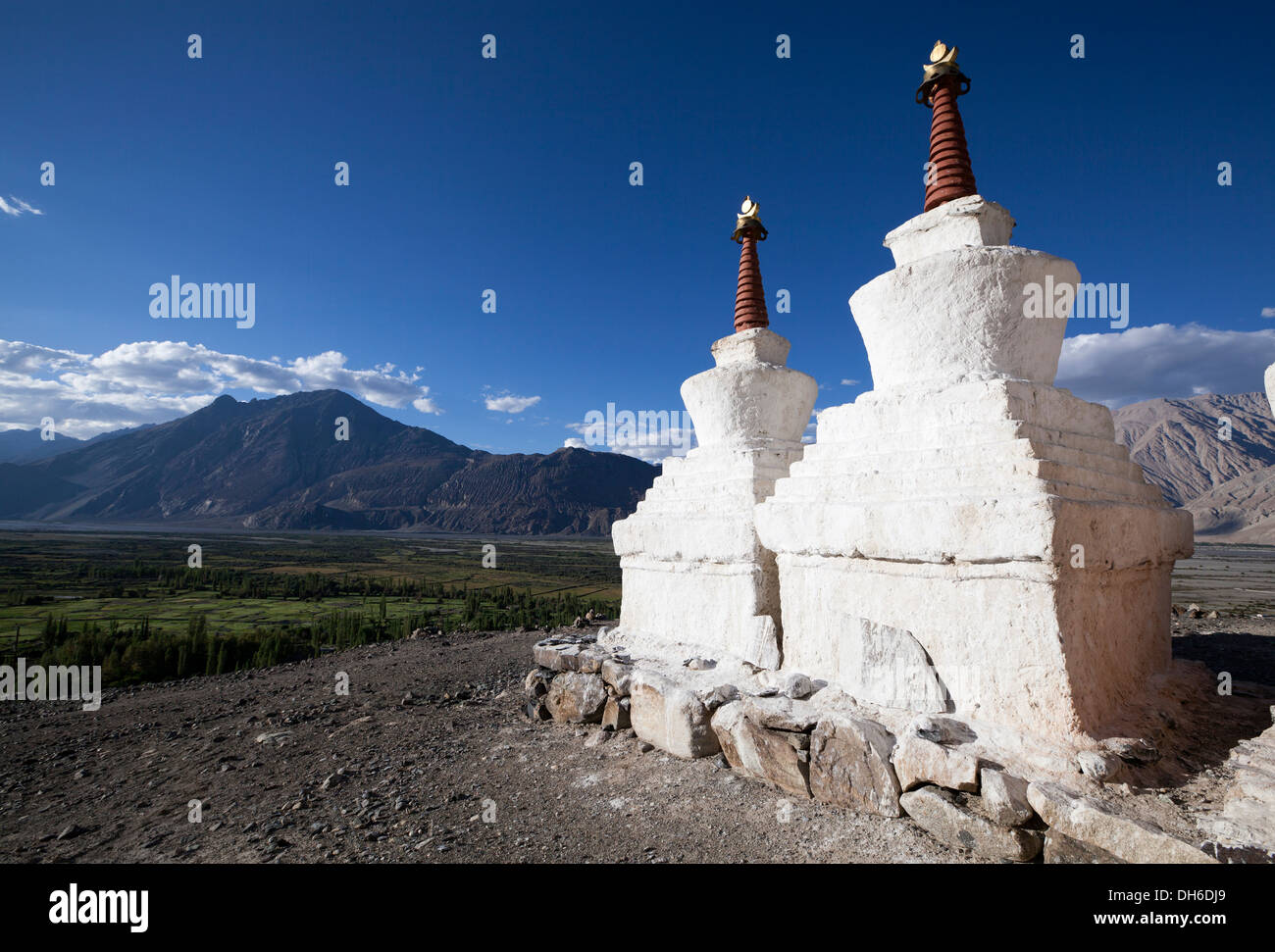 Buddhist Stupas overlooking Nubra Valley, Diskit monastery, Ladakh, Northern India Stock Photo