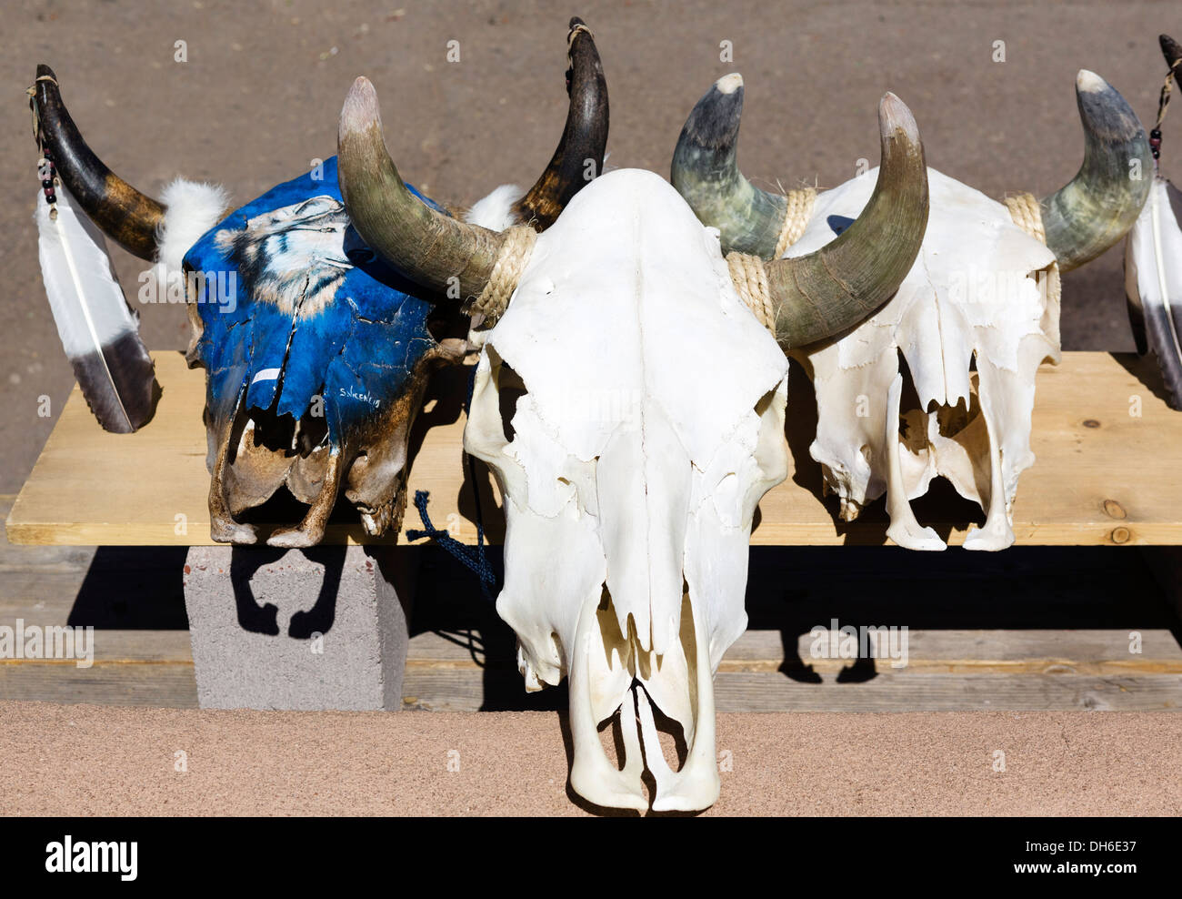 Cattle skulls for sale in a shop on the Old Santa Fe Trail, Santa Fe, New Mexico, USA Stock Photo
