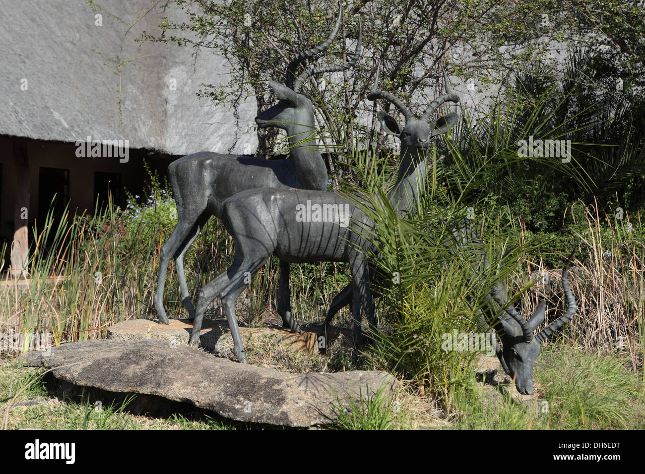 Skukuza  Rest camp in Kruger National Park, South Africa Stock Photo
