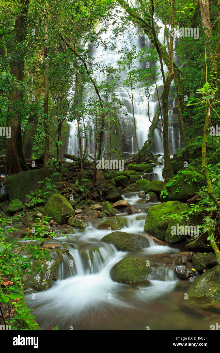 Seasonal waterfall seen through the forest at Rincón de la Vieja National Park, Costa Rica Stock Photo