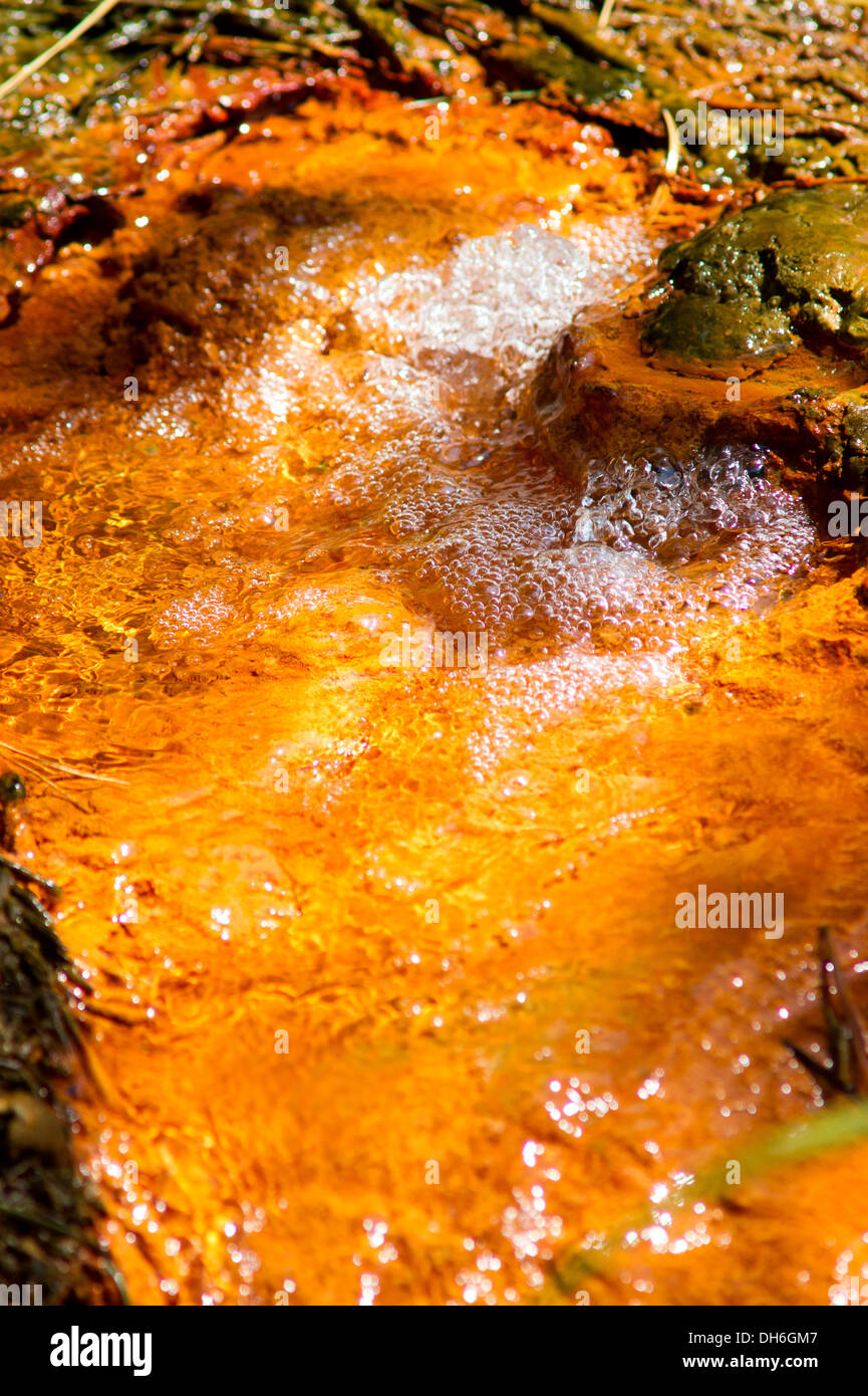 Mineral naturally carbonated water raising from the ground in the