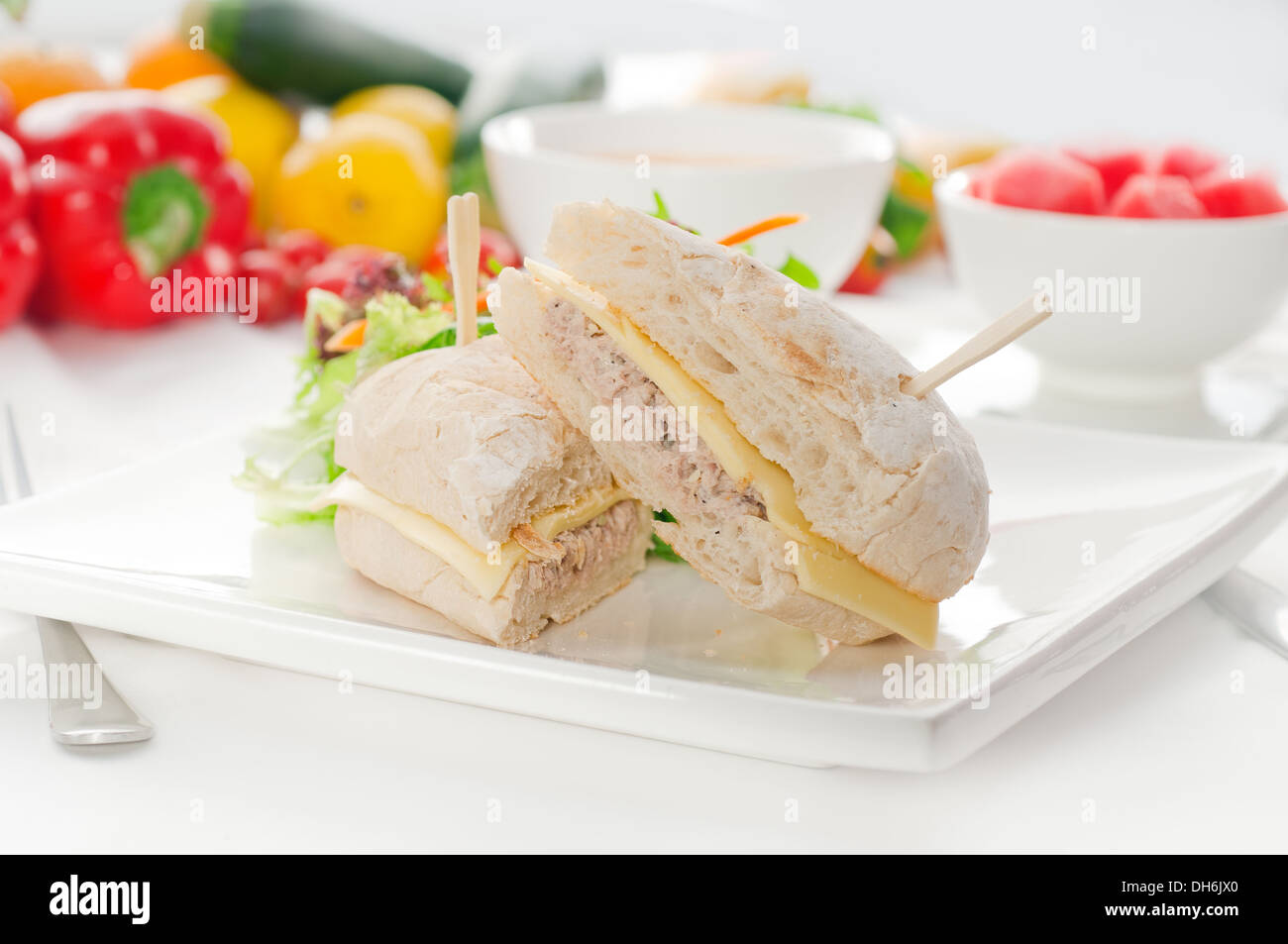 tuna fish and cheese sandwich with fresh mixed salad ,watermelon and
