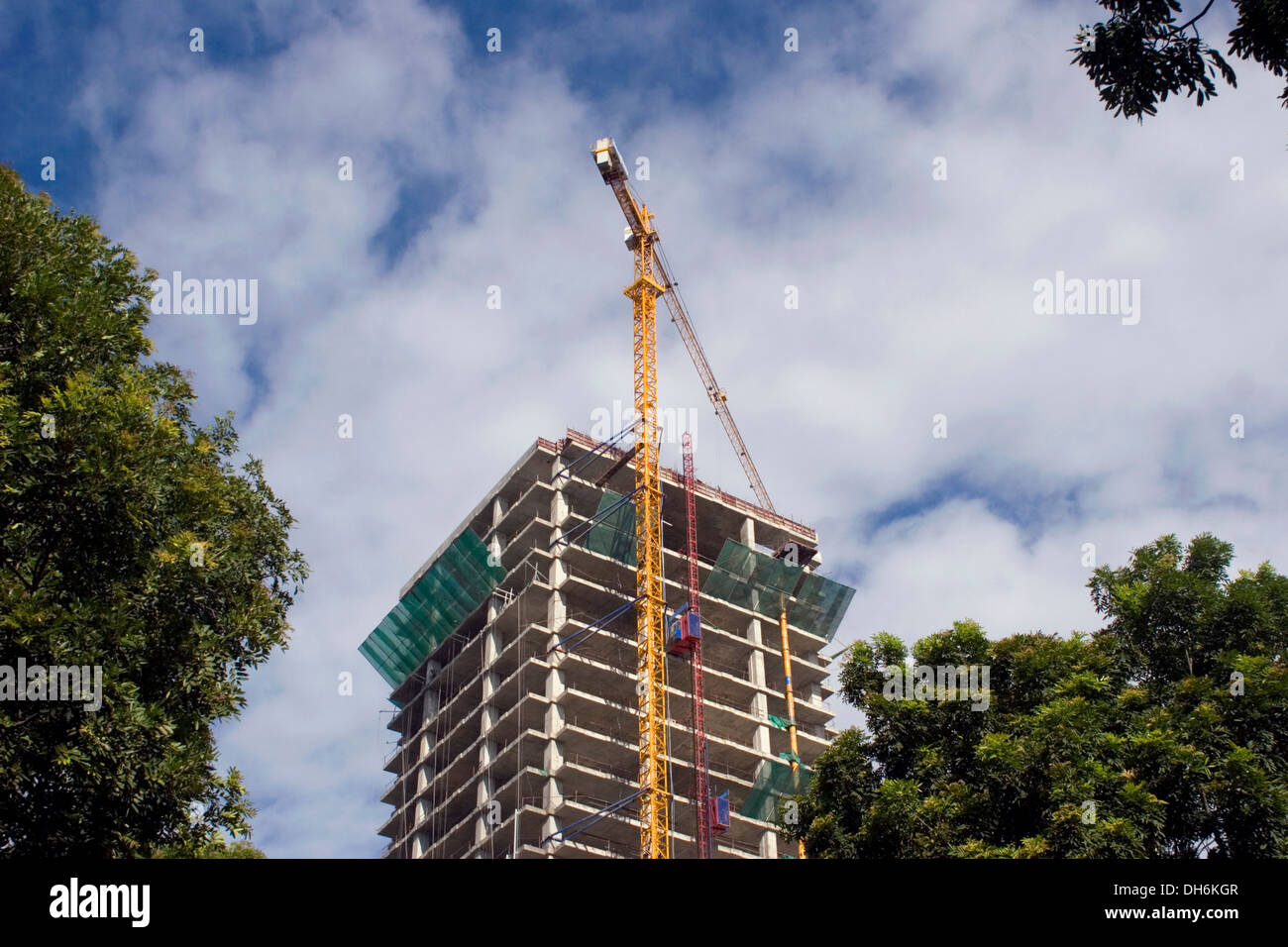 A large and tall crane used to build skyscrapers towers over a