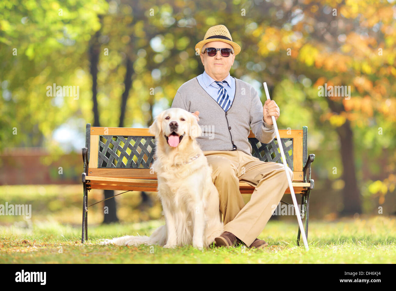 Senior blind gentleman sitting on a bench with his labrador retriever dog, in a park Stock Photo
