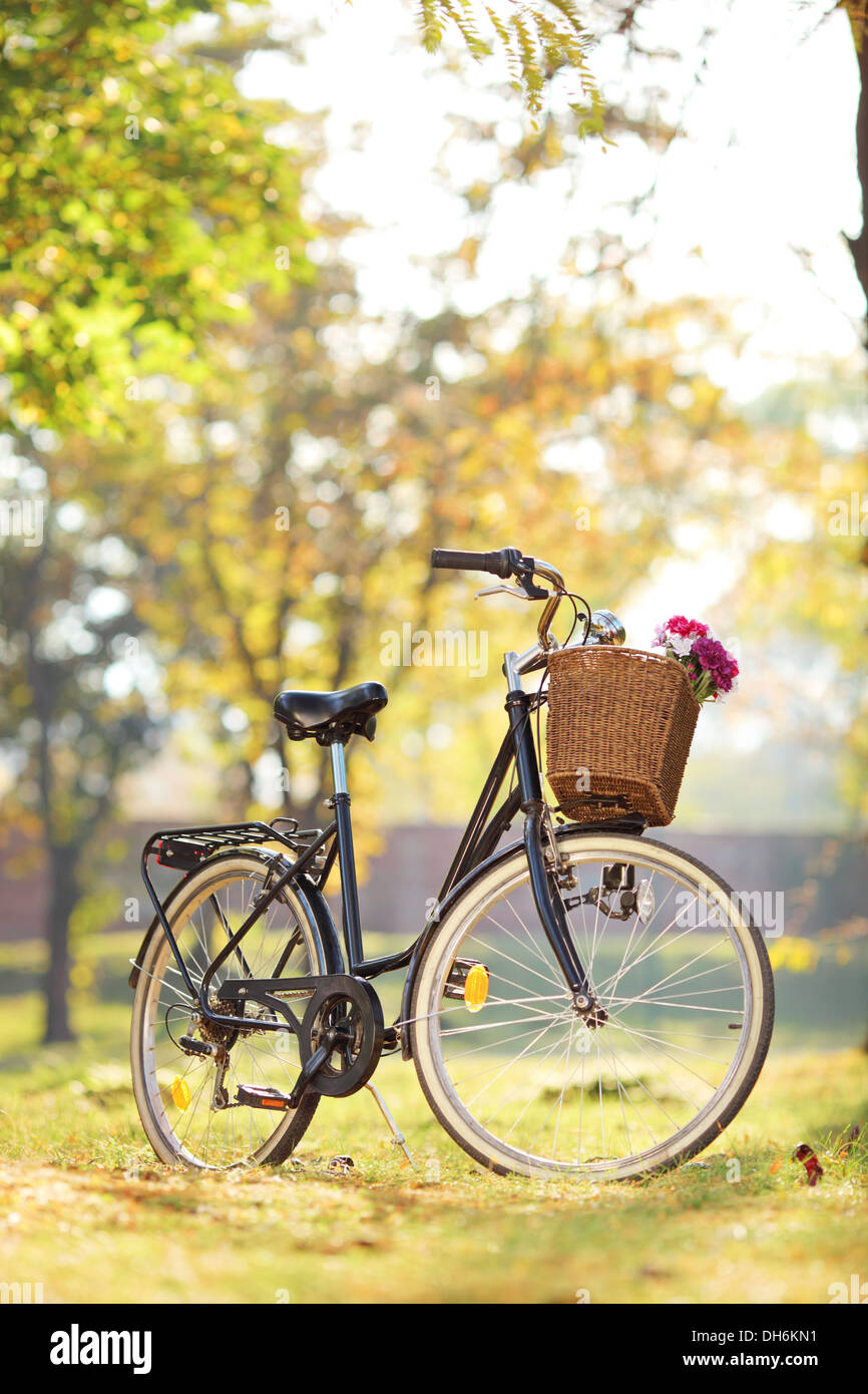 Woman’s bike with basket and flowers in park Stock Photo