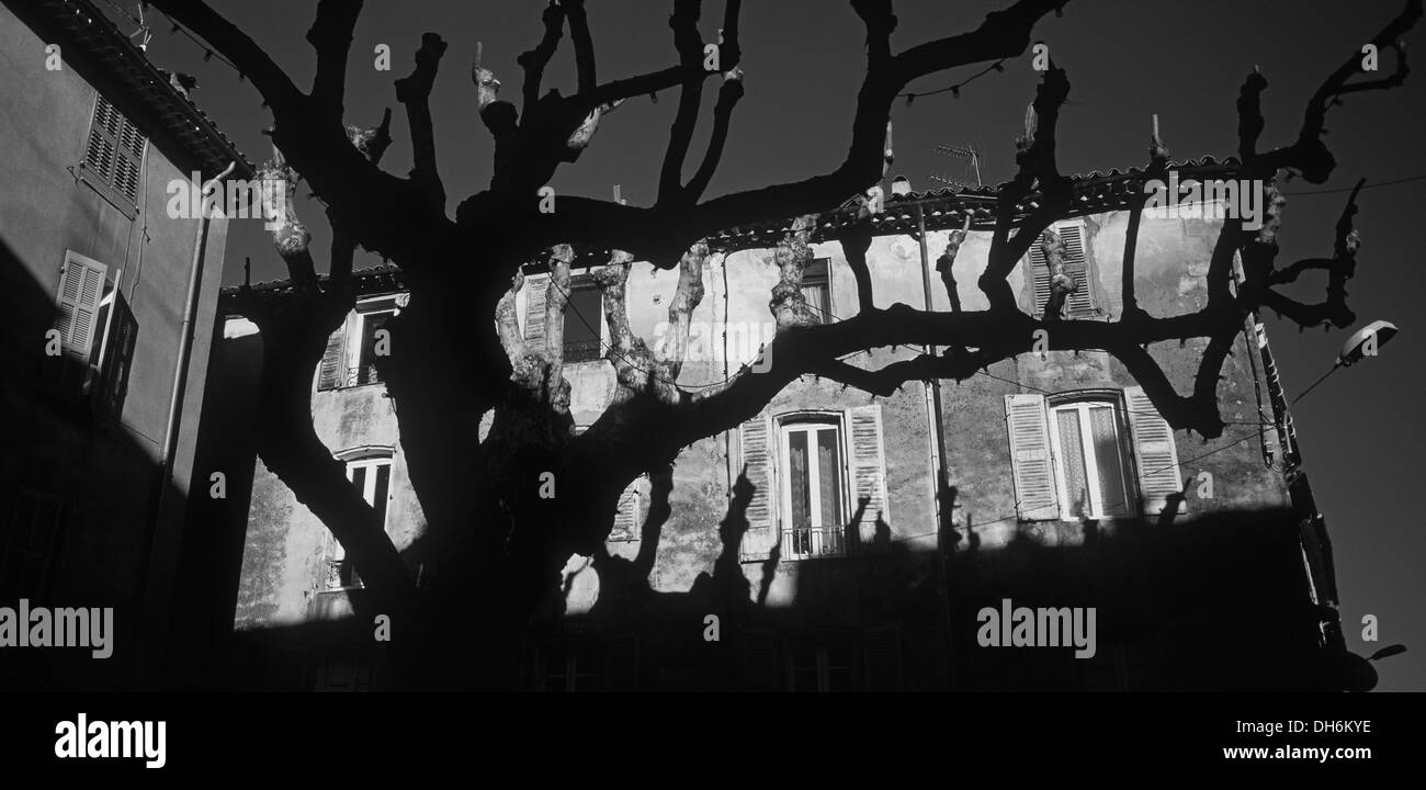 Aups is well known for its black truffle market every Thursday from November to February Stock