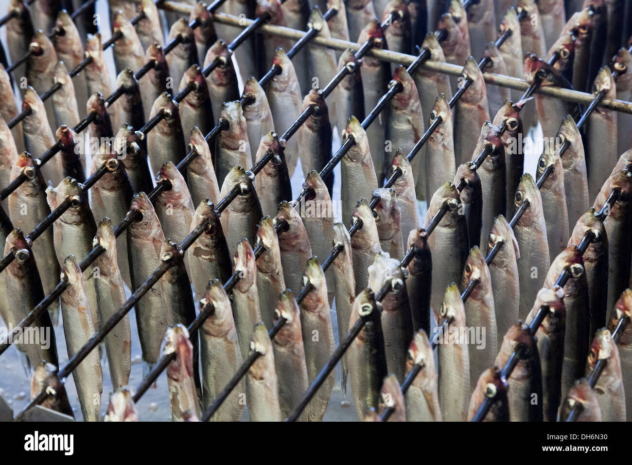 Fish conveyor hi-res stock photography and images - Alamy