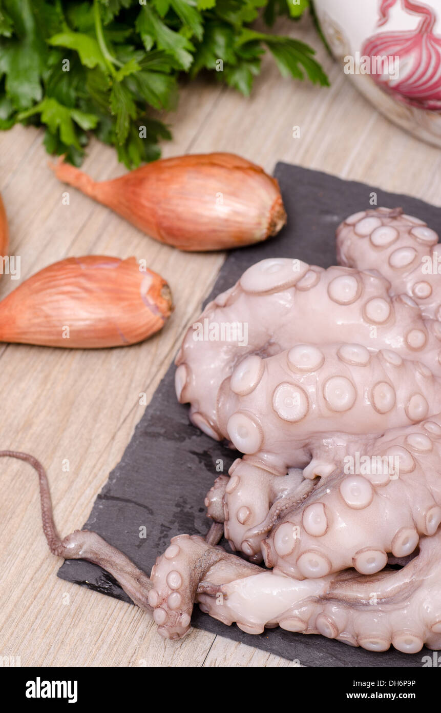 Raw octopus in vertical format with shallots and parsley Stock Photo