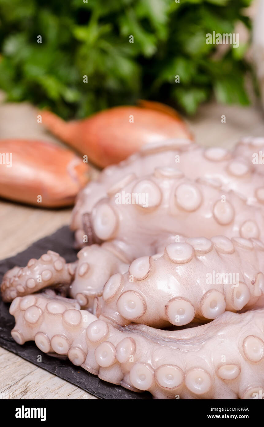 Raw squid with onions and parsley in vertical format Stock Photo