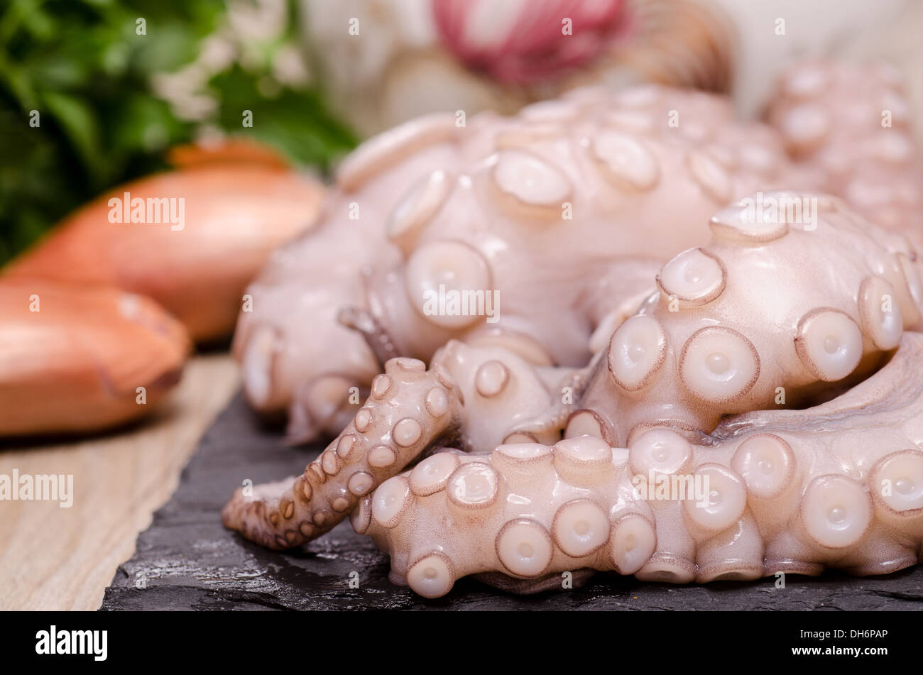 Arms with suckers of an raw octopus Stock Photo