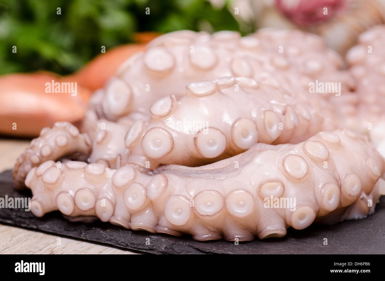 Tentacles of a raw squid Stock Photo